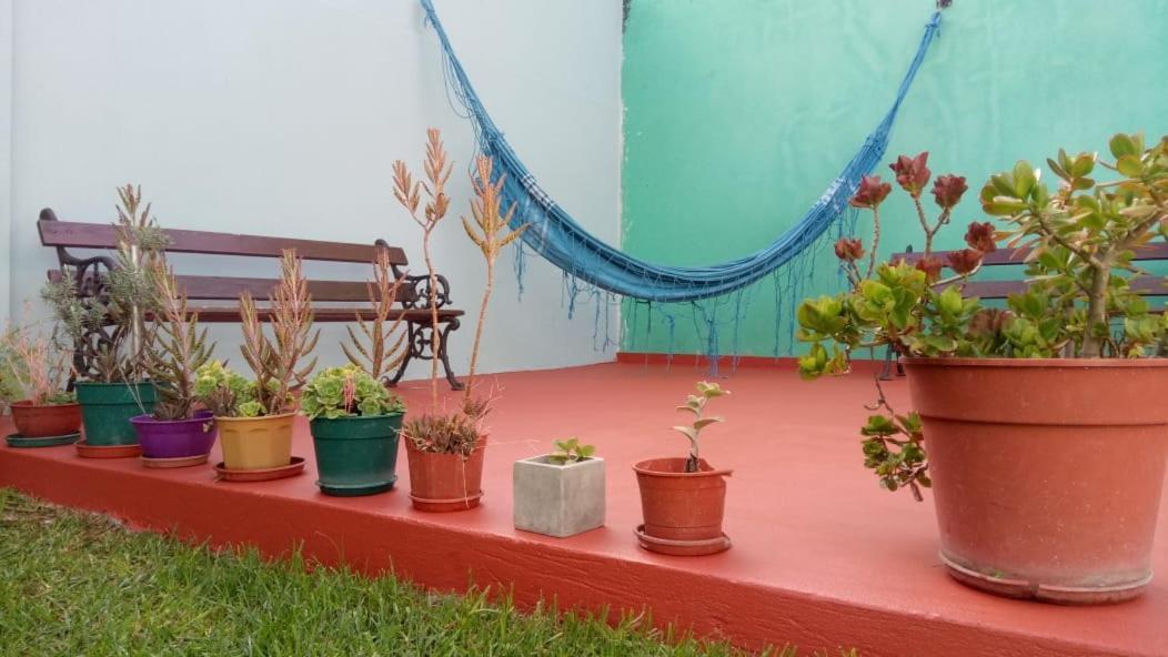 La Plata Hostel ภายนอก รูปภาพ